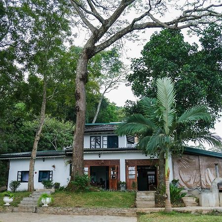 Welikande Yoga Retreats Digana Exterior foto