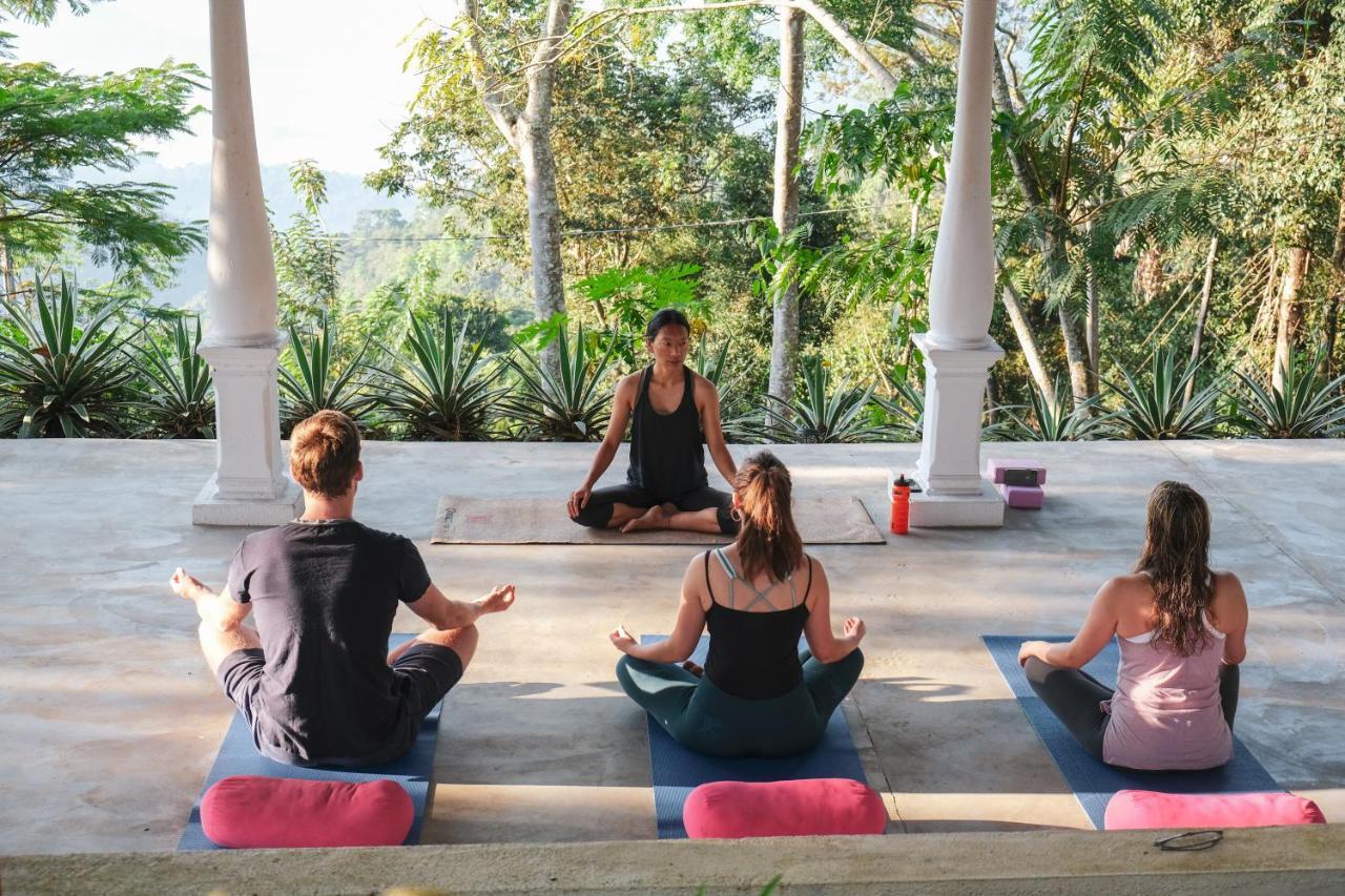 Welikande Yoga Retreats Digana Exterior foto