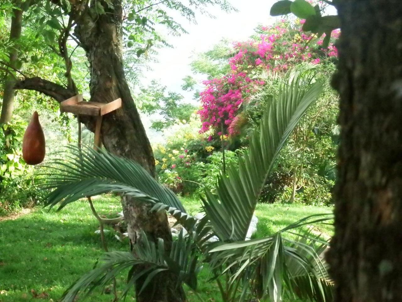 Welikande Yoga Retreats Digana Exterior foto